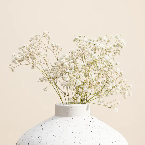 Ukiyo Whispering White Gypsophila Covey Vase