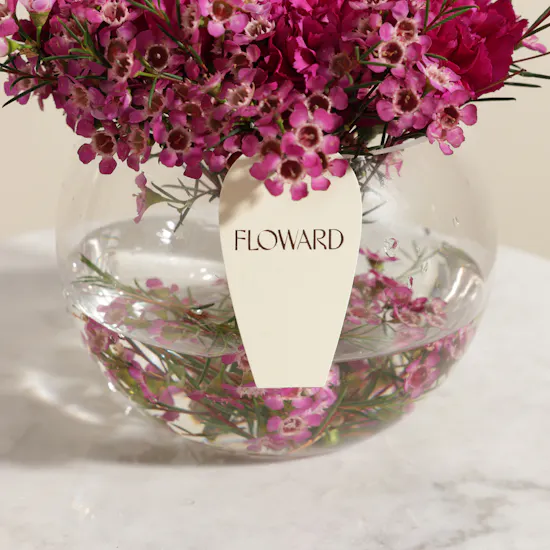 Omani Women’s Day Her Gentle Power Vase