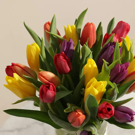 Elegant Tulip Vase
