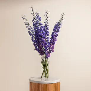 Dad's Bliss Delphinium Vase