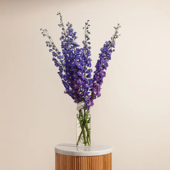 Sky Petal Delphinium Vase