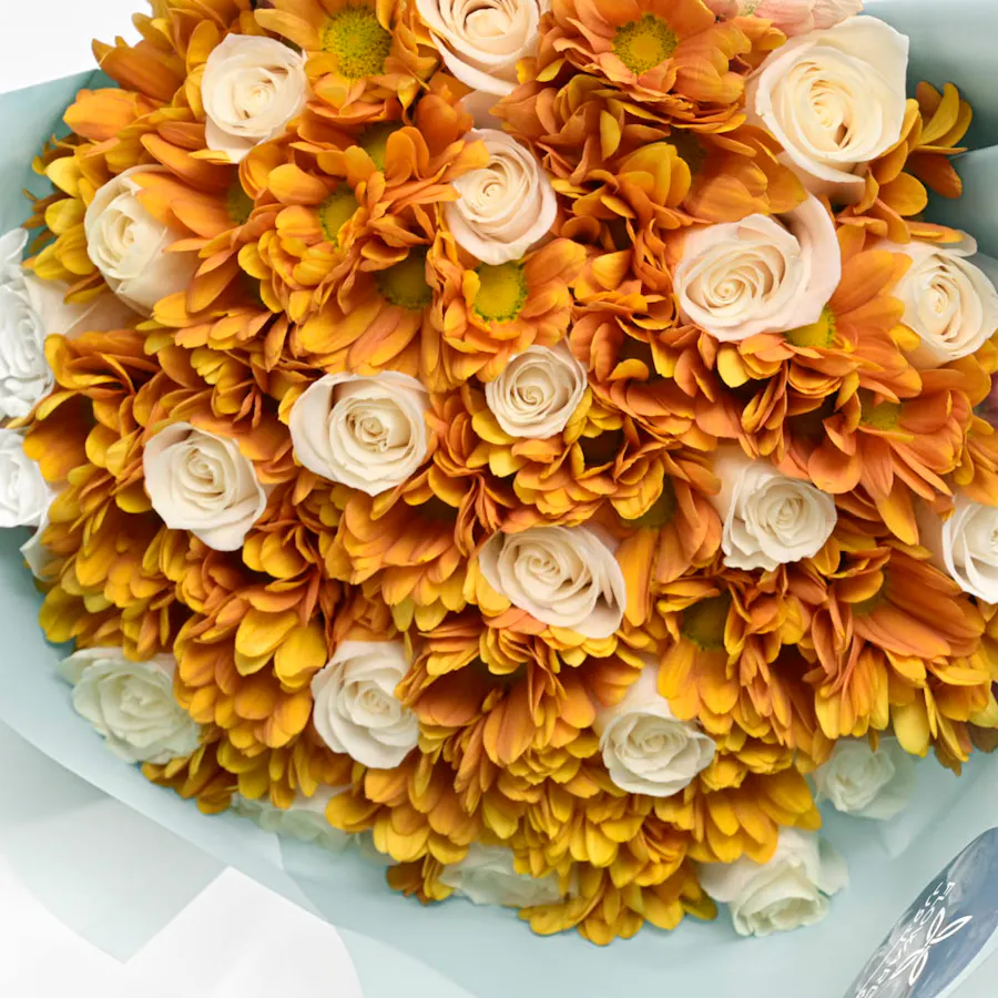 Sunny Chrysanthemums 4