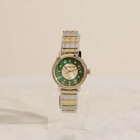 Roberto Cavalli Eterea Two Tones Women’s Watch