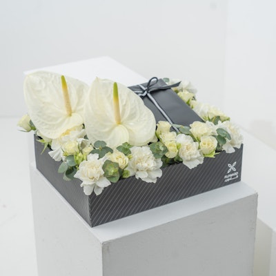 White Perfume Box