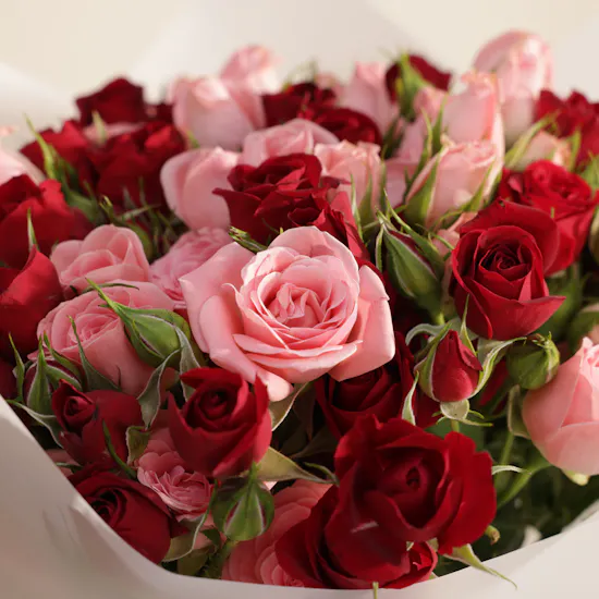 Anoosh New Salted Caramel Chocolate Box | Heartful Flowers