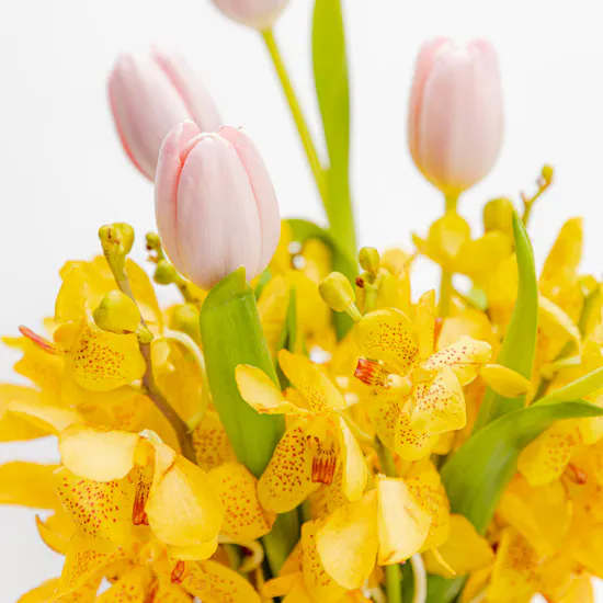Pink Tulip & Yellow Orchid | Glass Vase