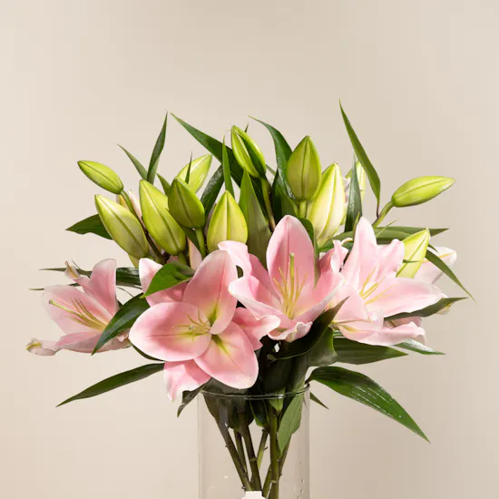 Pinky | 7 Lilies Vase