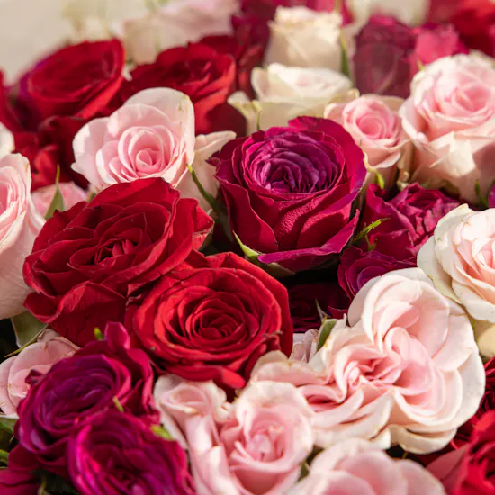 Wild Blush Baby Roses Bouquet