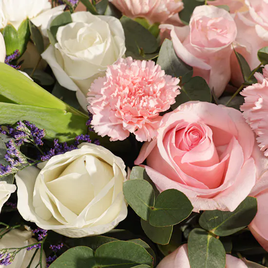 Stunning Beauty Flowers