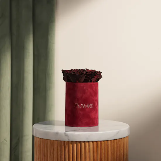 Dreamy Preserved Red Rose Box