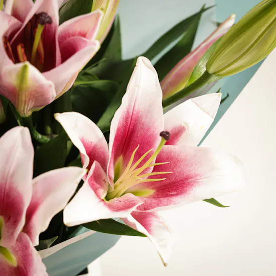 Quiet Unveiling Flower Bouquet