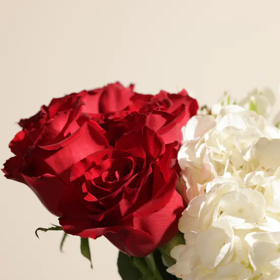 Bahraini Women's Graceful Flowers