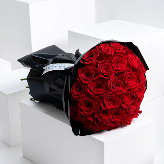 Red Roses Graduation