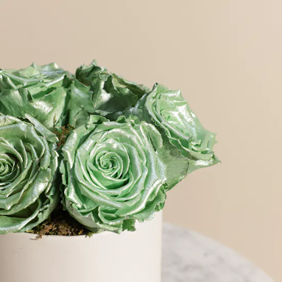 Preserved Green Roses Box