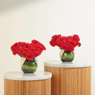 Velvet Promise Duo Carnation Vase