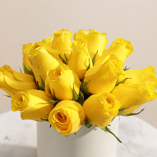 Lelido Three Home Decor Candle | Sunny Stillness Flowers