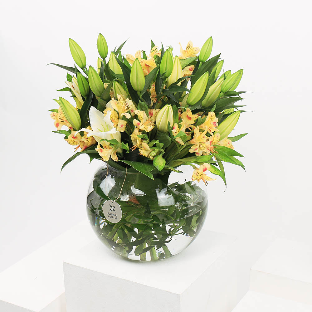 بداية للتفائل | مزهرية