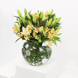 Beginning of Optimism | Vase