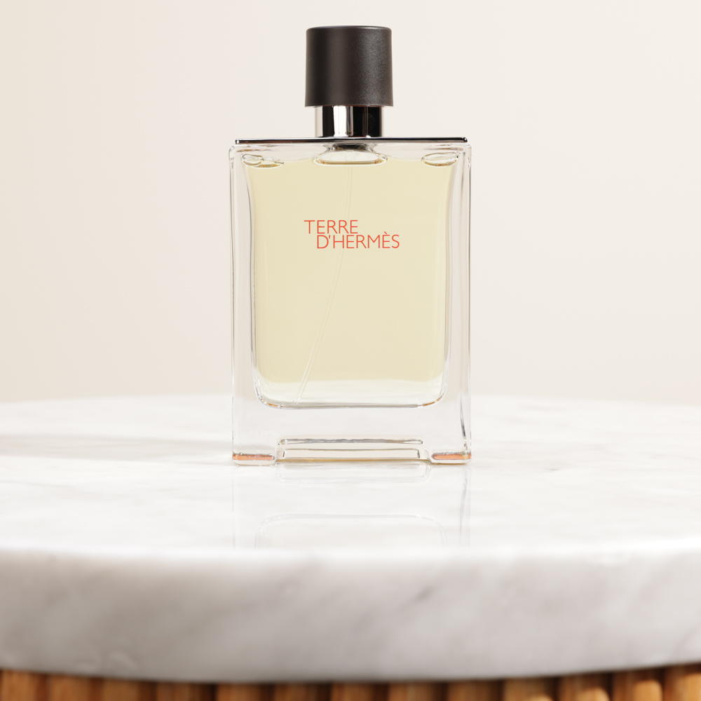 Buy and send Hermès Terre D'Hermès EDT For Men | 100ml gift Online