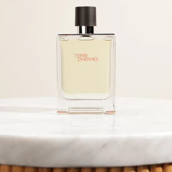 Hermès Terre D'Hermès EDT for Men | 100ml