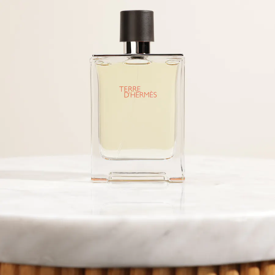 Hermès Terre D'Hermès EDT for Men | 100ml 3