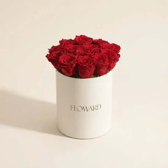 Romantic Preserved Red Rose Box