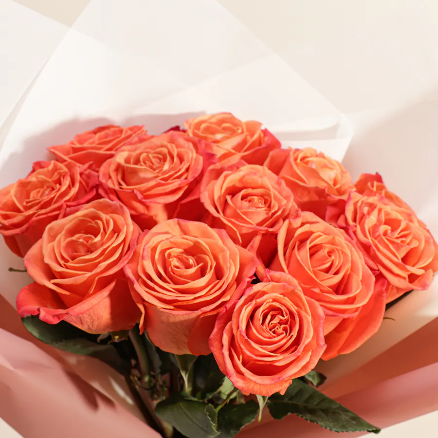 باقة تناغم الغروب 5