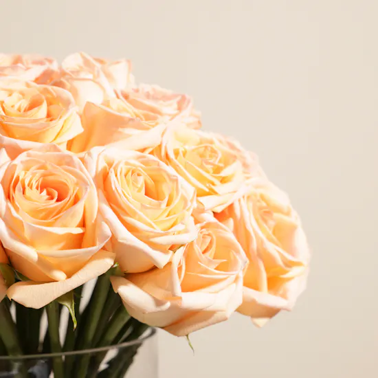 Stunning Peach Rose Vase | 50 Roses