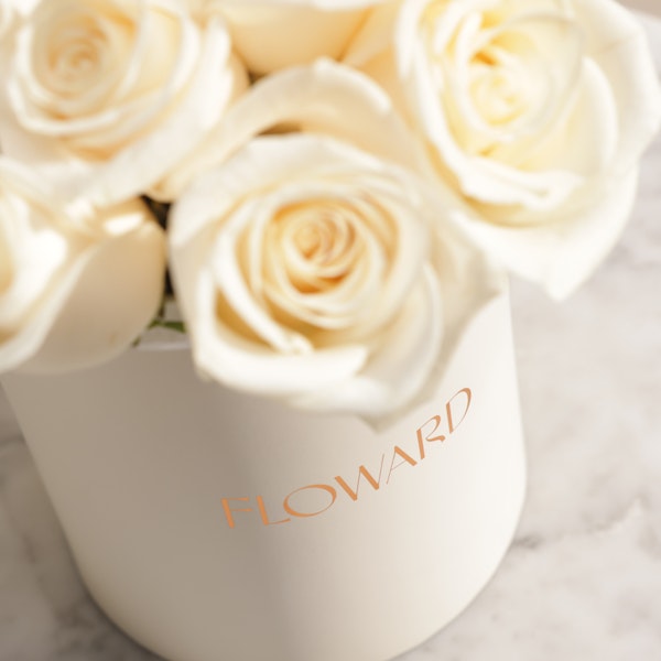 Dreamy White Rose Box | 15 Flowers