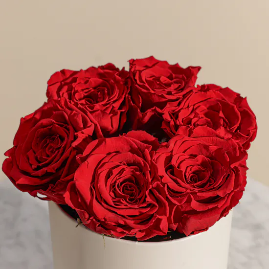 Preserved Red Roses Box