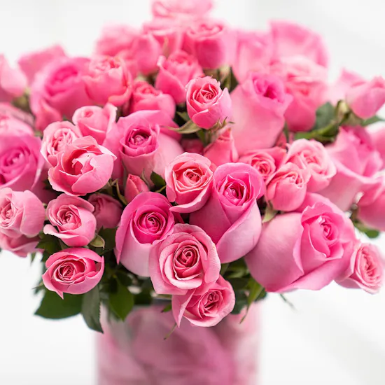 Pink Roses | Finger Heart