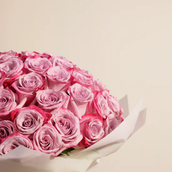 Magical Purple | 100 Rose Bouquet