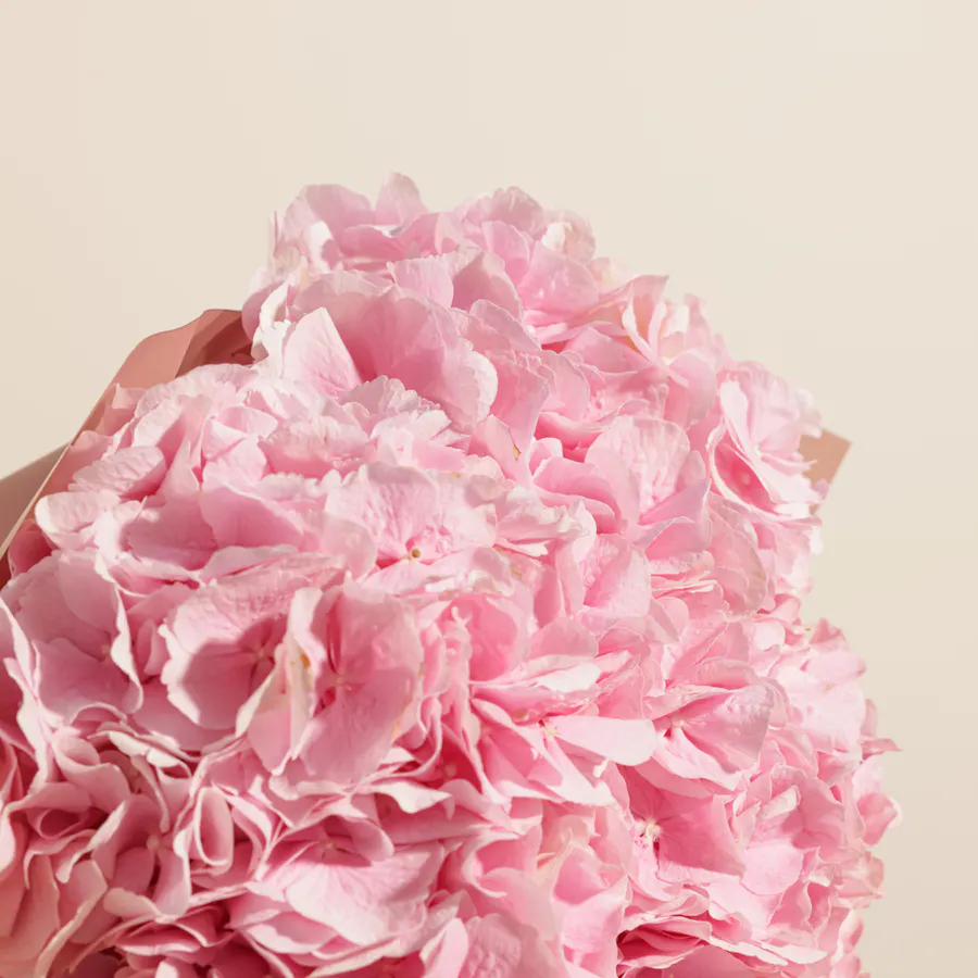 Blushing Elegance Hydrangea Bouquet 3