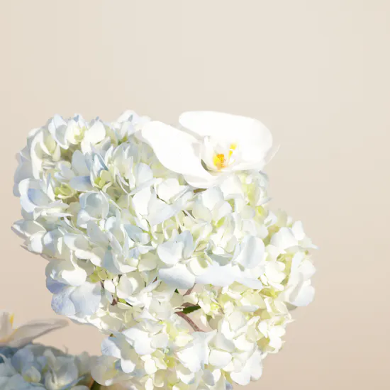 Bostani It's A Boy Chocolate Box | Serene Flower Vase