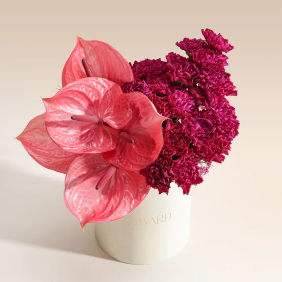 Astral Maison Flower Box