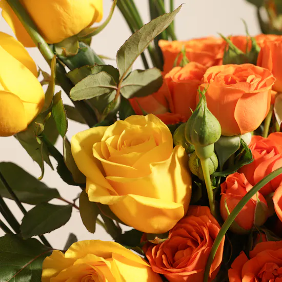 Anoosh Petite Chocolate Box | Delight Flowers Bouquet