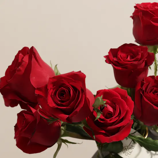 Imperial Red Rose Vase