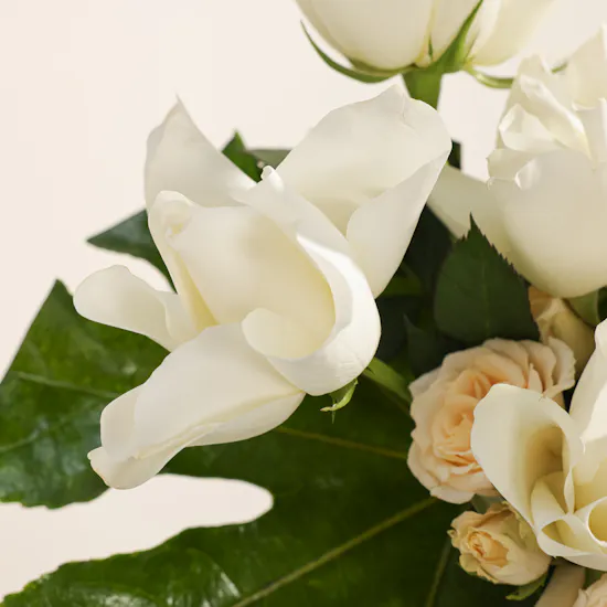 Pearl Glow Flower Box