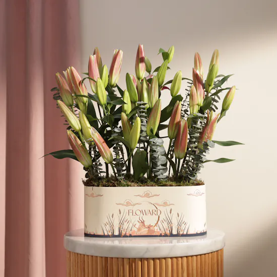 Serenity Pink and White Lily Box