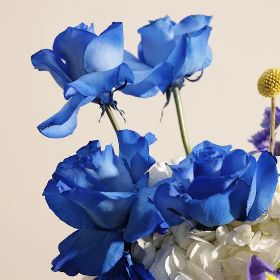 Soft Beauty Flower Vase