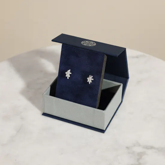 Hilia Twinkling Star Silver and Zircon Women’s Earrings