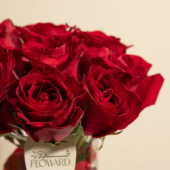 Timeless Charm Red Rose Vase