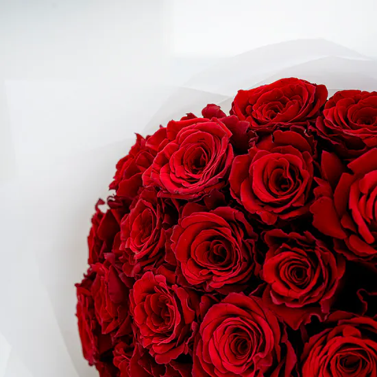 Secrets Cheesecake Pomegranate | Roses