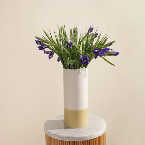 Blue Iris Petal Whisper Vase