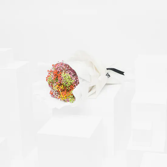 Rainbow Gypsophila Bouquet
