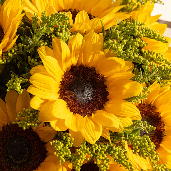 Magical Sunflowers Bouquet