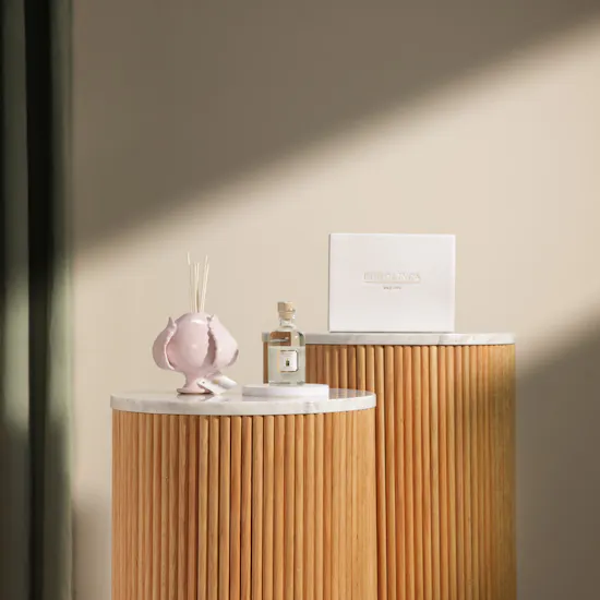 Erbolinea Diffuser and White Musk Home Fragrance with Sticks | 100 ml
