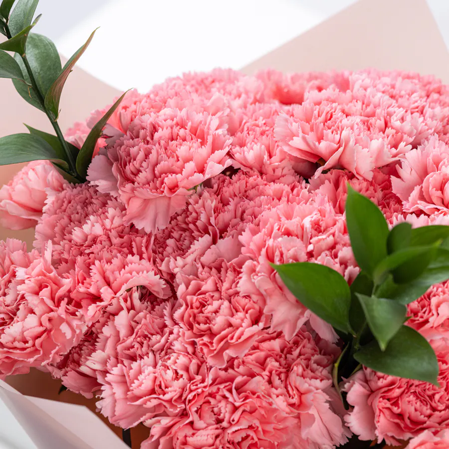 Warm Pink Bouquet | 50 Pink Carnations 2