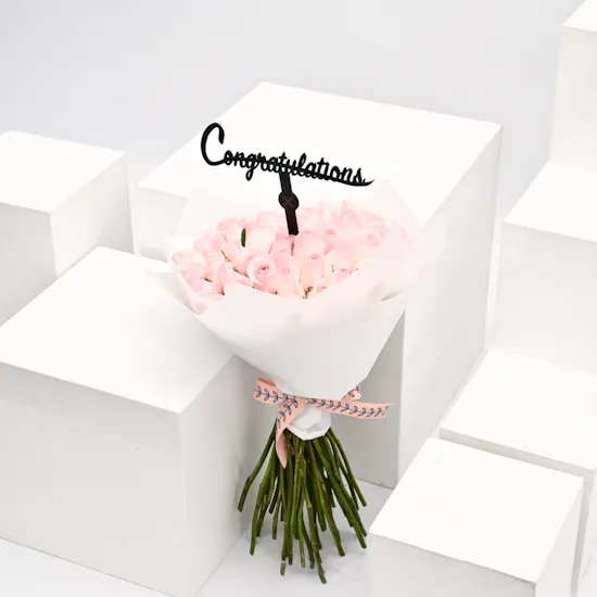 pink roses graduation collection