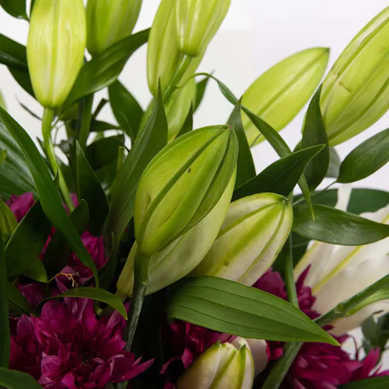 Blooms Flowers | Glass Bowl
